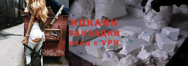 дмт Нягань