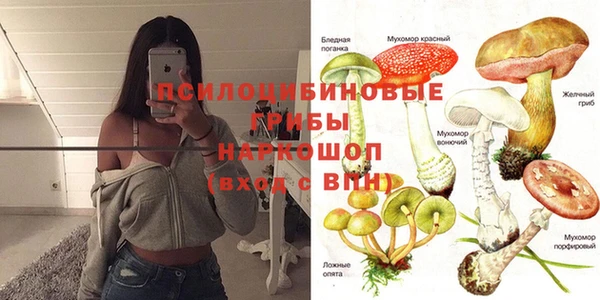 jwh Нязепетровск