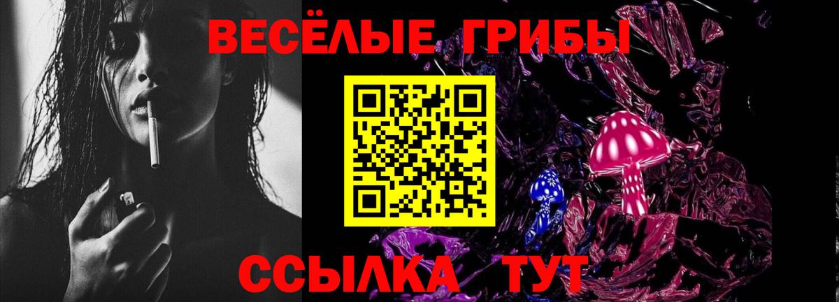 Шумерля  Галлюциногенные грибы Psilocybe  Вход с VPN 